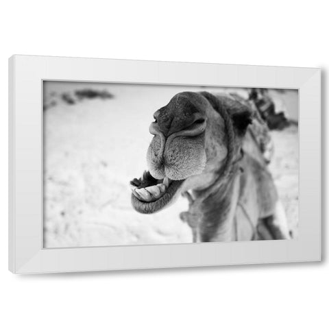 dromedary White Modern Wood Framed Art Print by Borges Alves, Luis