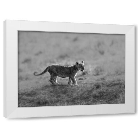 MORNING CAT White Modern Wood Framed Art Print by Marx, Jaco