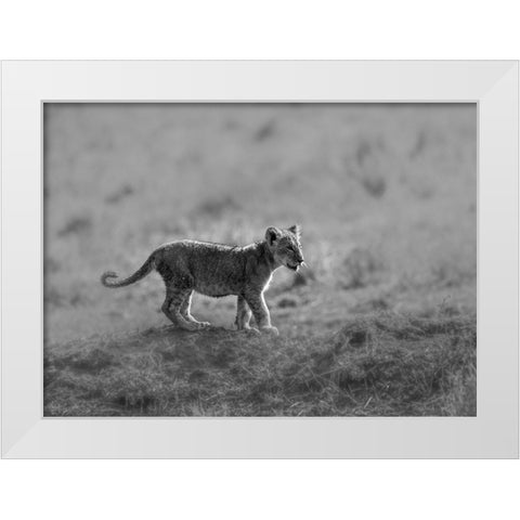 MORNING CAT White Modern Wood Framed Art Print by Marx, Jaco