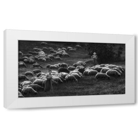 Bergers White Modern Wood Framed Art Print by Arabzadeh, Abbas