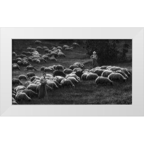Bergers White Modern Wood Framed Art Print by Arabzadeh, Abbas