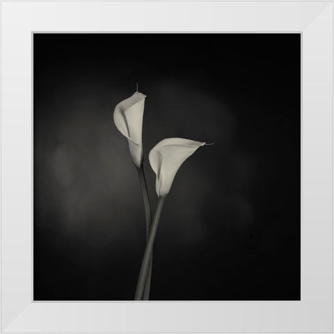 Simplicity White Modern Wood Framed Art Print by Engelbos, Mieke