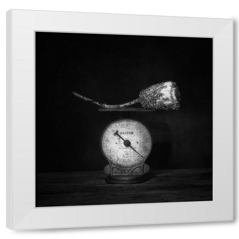 Simple Comme Bonjour . White Modern Wood Framed Art Print by Dingemans, Saskia