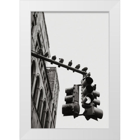New York City Doves White Modern Wood Framed Art Print by Martin, Rikard