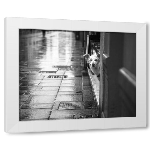 Rain White Modern Wood Framed Art Print by Alviani, Montserrat