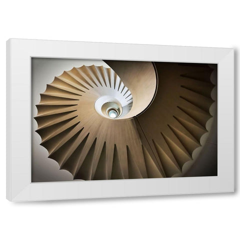 Looking Up White Modern Wood Framed Art Print by Reichert, Renate