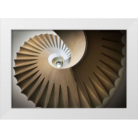 Looking Up White Modern Wood Framed Art Print by Reichert, Renate