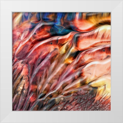 Flamingos White Modern Wood Framed Art Print by Westum, Heidi