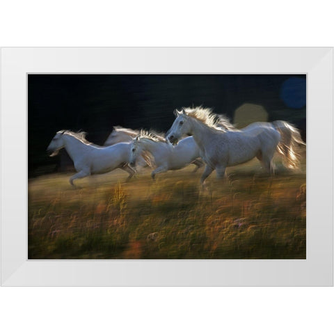 Pass White Modern Wood Framed Art Print by Malovrh, Milan