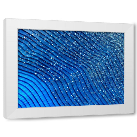 Star Light Star Bright horizontal White Modern Wood Framed Art Print by Mann, Tara