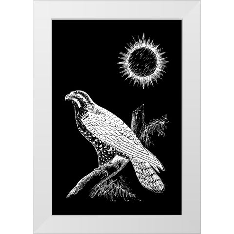 Falcon Peregrine White Modern Wood Framed Art Print by Abdel Aal, Hussein