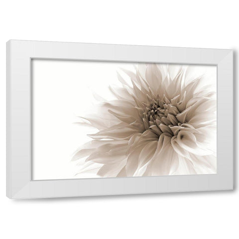 Dignified White Modern Wood Framed Art Print by Wettstein, Priska