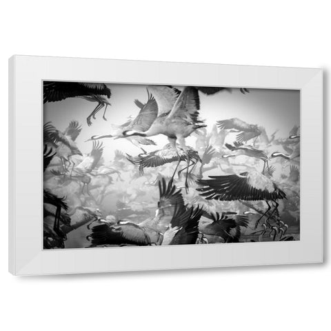 Chaos White Modern Wood Framed Art Print by Meirovich, Ido