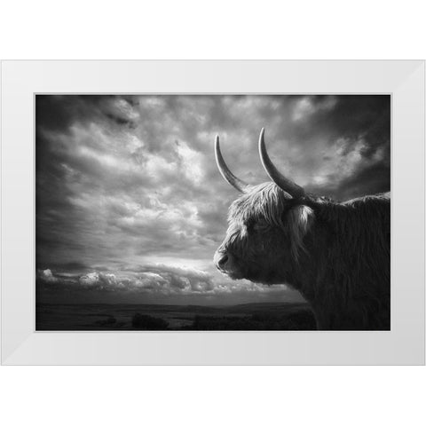 The Highlands White Modern Wood Framed Art Print by Droste, Holger