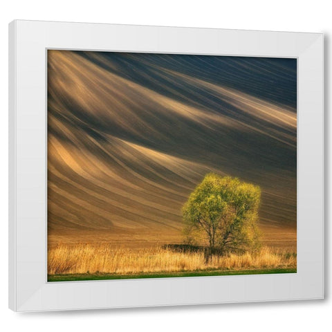 Tree... White Modern Wood Framed Art Print by Browko, Krzysztof