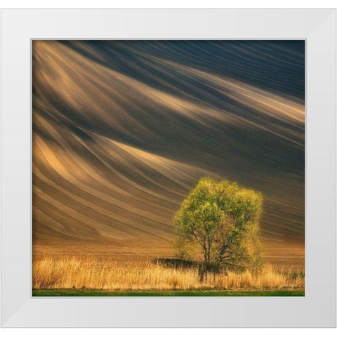 Tree... White Modern Wood Framed Art Print by Browko, Krzysztof