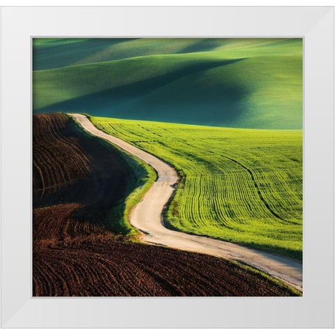 Road White Modern Wood Framed Art Print by Browko, Krzysztof