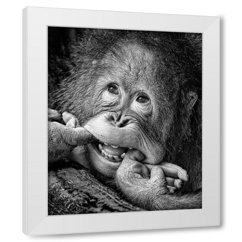 Big Smile.....Please White Modern Wood Framed Art Print by Muliani Hartojo, Angela