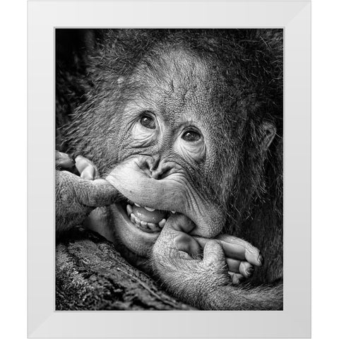 Big Smile.....Please White Modern Wood Framed Art Print by Muliani Hartojo, Angela