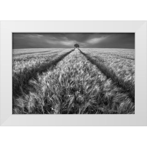 Alone White Modern Wood Framed Art Print by Krol, Piotr