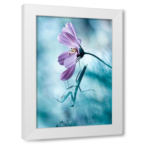 Newtonian Physics White Modern Wood Framed Art Print by Bravin, Fabien