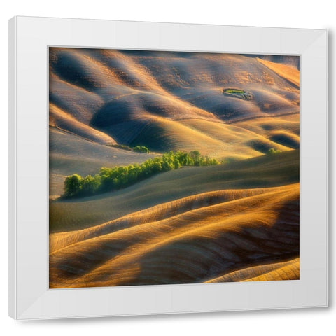 Fields White Modern Wood Framed Art Print by Browko, Krzysztof