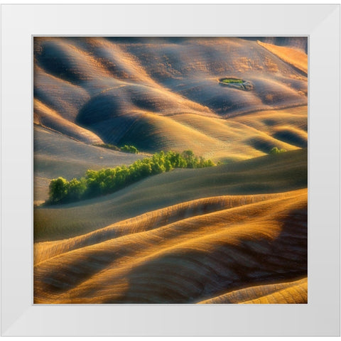 Fields White Modern Wood Framed Art Print by Browko, Krzysztof