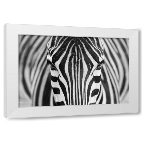 Zepra White Modern Wood Framed Art Print by Alhumaid, Hesham