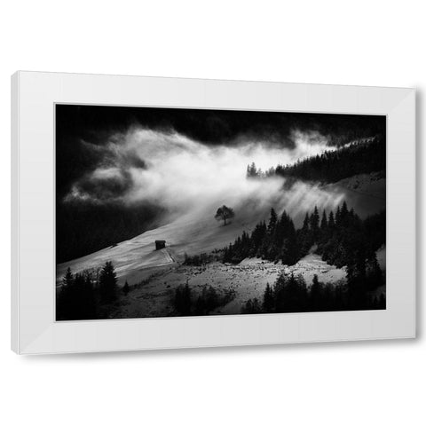 Morning Fog White Modern Wood Framed Art Print by Bogdan, Marchevca