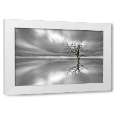 Ghost Tree White Modern Wood Framed Art Print by Londal, Leif