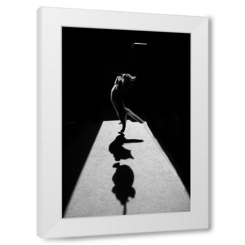 Edgar The Great Ii. White Modern Wood Framed Art Print by Kravanja, Jure