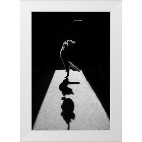 Edgar The Great Ii. White Modern Wood Framed Art Print by Kravanja, Jure