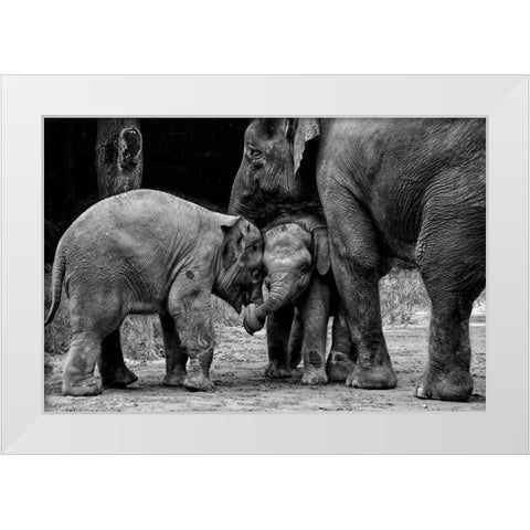 Friends Forever White Modern Wood Framed Art Print by Rex, Ernest