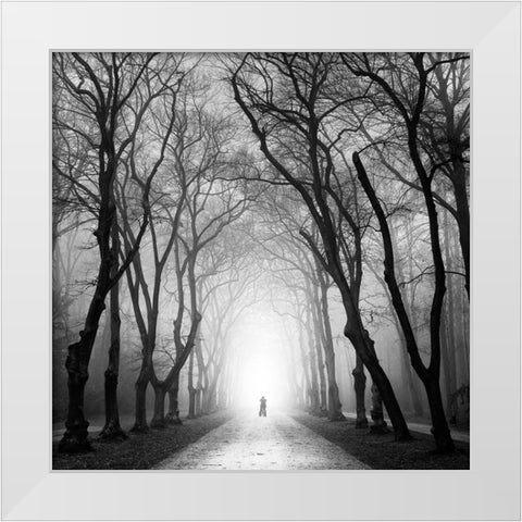 Cyclist White Modern Wood Framed Art Print by Rak, Martin