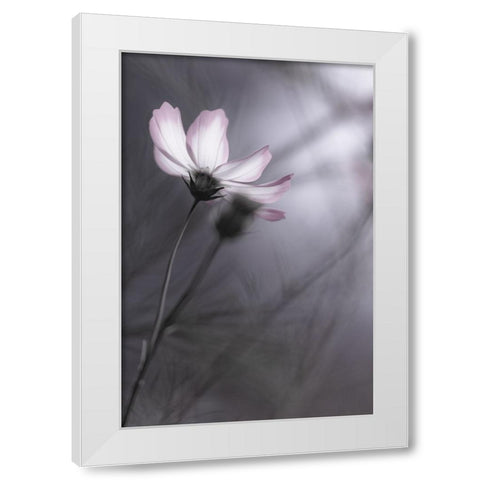 Cosmos White Modern Wood Framed Art Print by HIDEBON