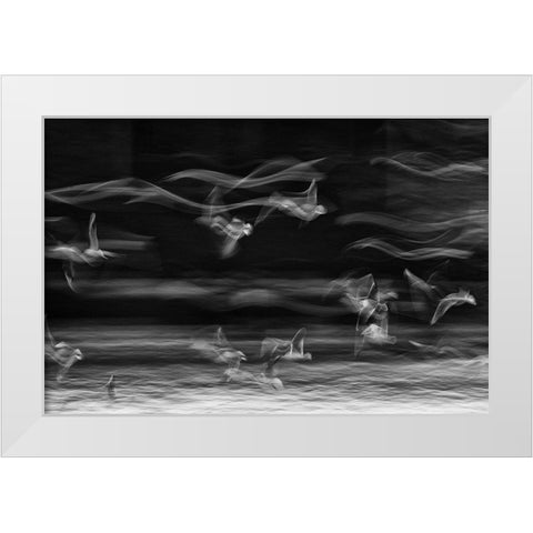 The Boundary Between Reality And Fantasy White Modern Wood Framed Art Print by Bakhtari Bonab, Ebrahim