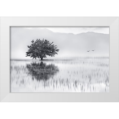 Spring Mirror White Modern Wood Framed Art Print by Kaimaki, Maria