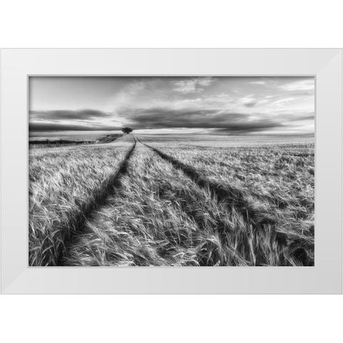 Countryside White Modern Wood Framed Art Print by Krol, Piotr