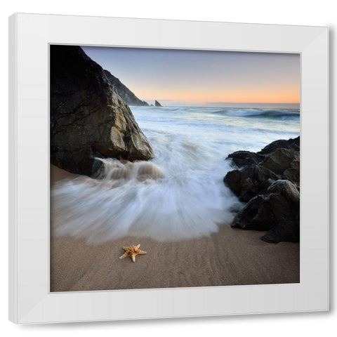 Summer Flux White Modern Wood Framed Art Print by Dias, Paulo