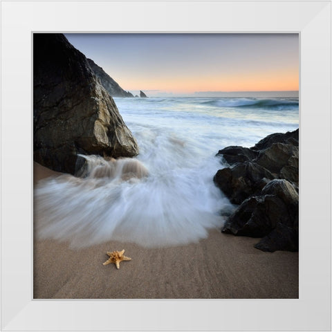 Summer Flux White Modern Wood Framed Art Print by Dias, Paulo