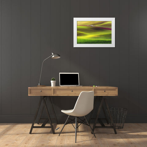 Golden Fields White Modern Wood Framed Art Print by Krol, Piotr