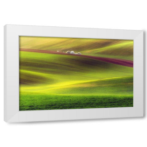 Golden Fields White Modern Wood Framed Art Print by Krol, Piotr
