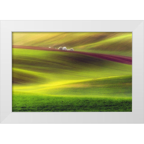 Golden Fields White Modern Wood Framed Art Print by Krol, Piotr