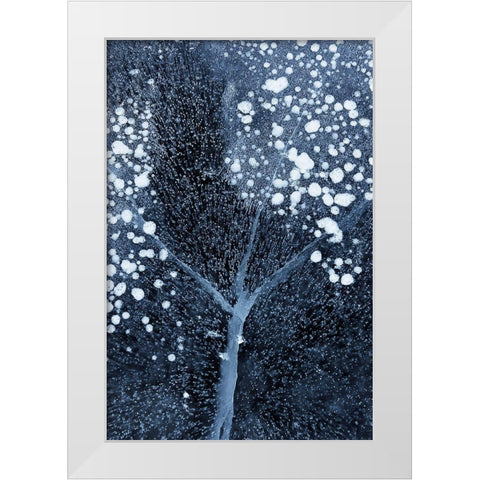 Winter Blossom White Modern Wood Framed Art Print by Xu, Mei