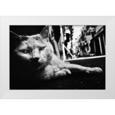 Cat White Modern Wood Framed Art Print by Suzuki, Tatsuo