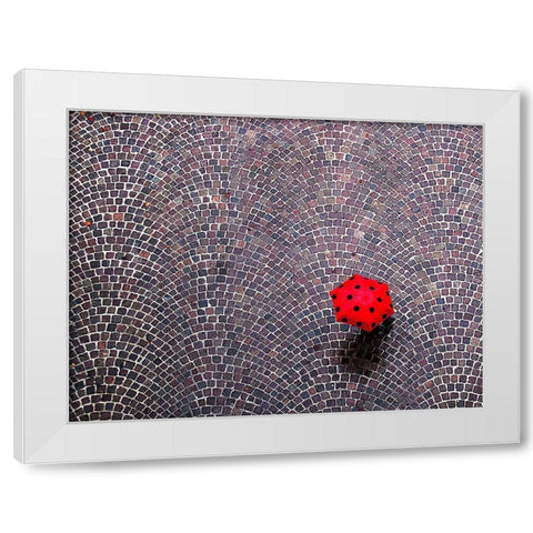 Urban Ladybug White Modern Wood Framed Art Print by Maffei, Franco