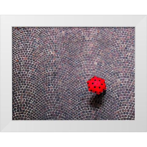 Urban Ladybug White Modern Wood Framed Art Print by Maffei, Franco