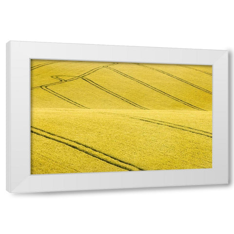 Field #2 White Modern Wood Framed Art Print by Collie, Clive