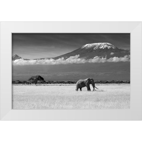 Lost Colors Ii White Modern Wood Framed Art Print by Canakci, Ibrahim