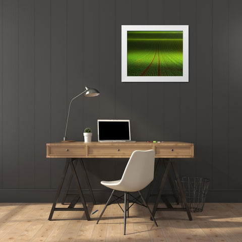 November Green White Modern Wood Framed Art Print by Schumacher, Nicolas